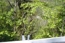 Galerie 11 Bild 903