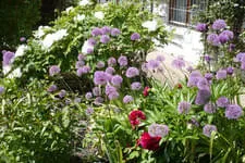 Galerie 14 Bild 75